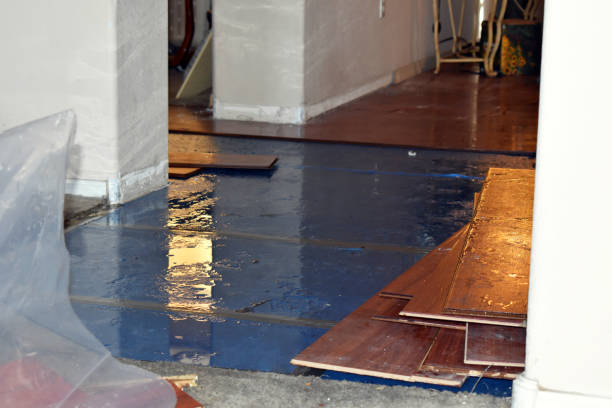 Professional Water Damage Restoration technician working in Kingsley, IA